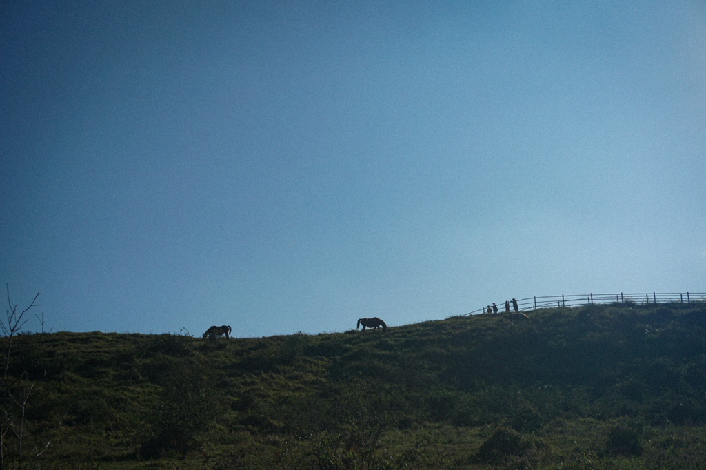 아이폰으로 본 제주도 - 꾸르