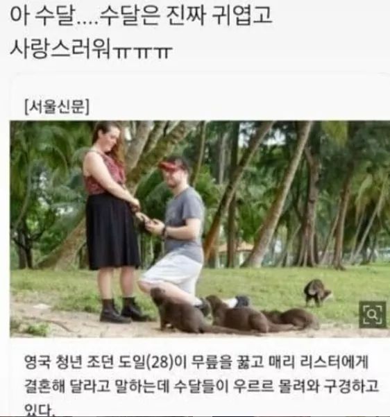 너무 사랑스러워ㅠㅠ