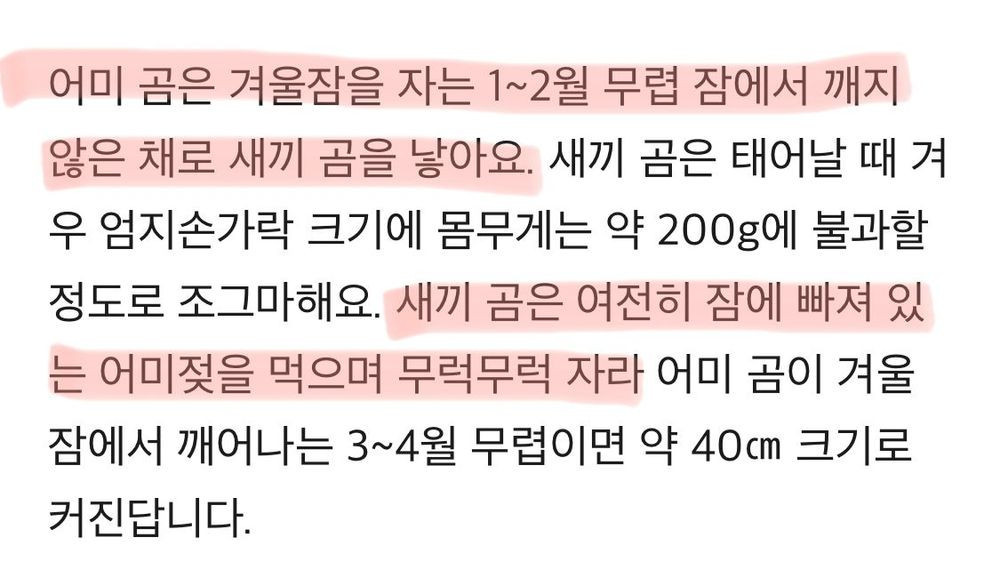 ???: 자고 있는데 출산했어ㅠㅠ