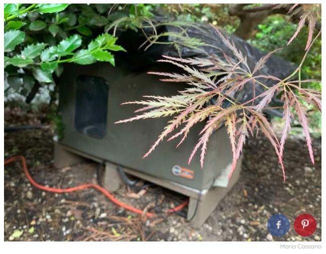 고양이 별로라던 아빠…집 지어주고 궁금해서 CCTV 설치