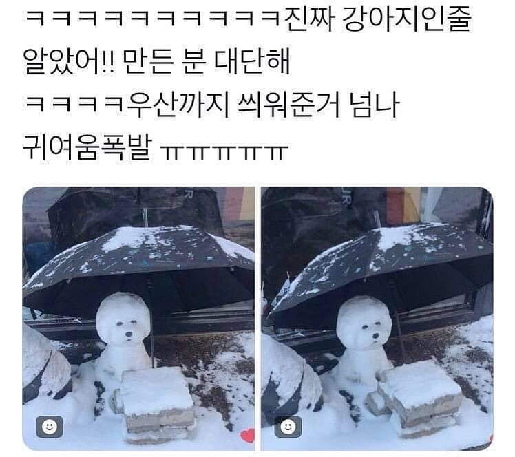 눈강아지