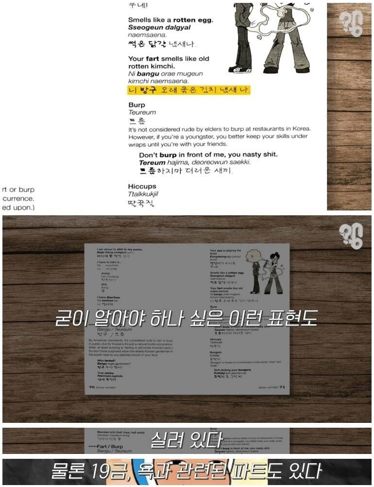 외국인에게 한국 욕을 알려주는 책 - 꾸르