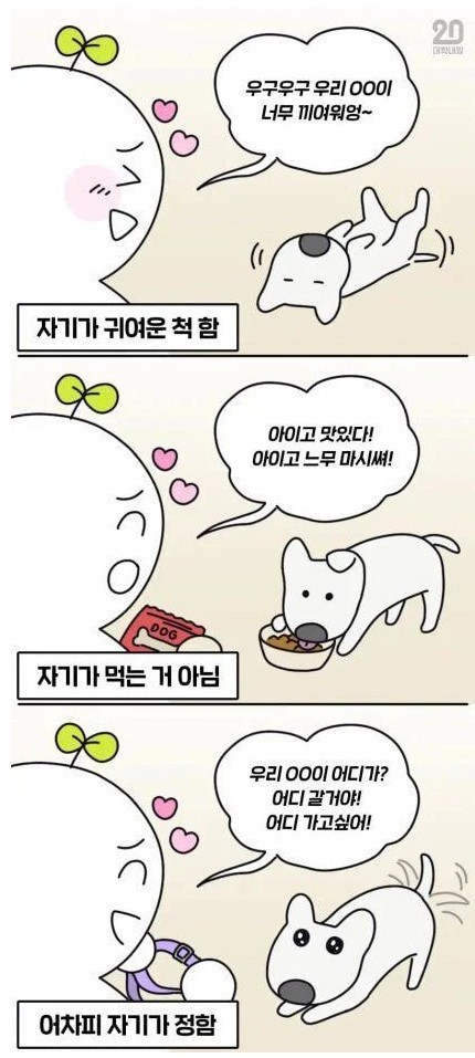 강아지 키우는 사람들이 공감하는 것