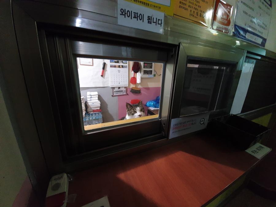한국에서 제일 귀여운 모텔 사장님